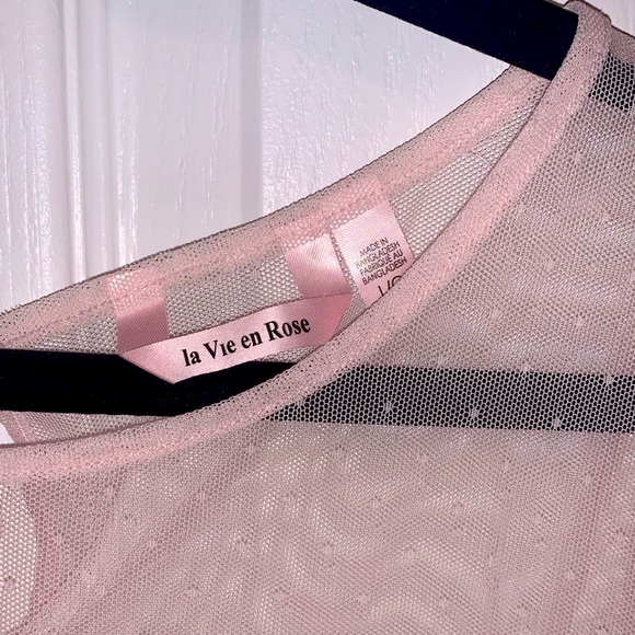 Blush Sheer Polka Dot Top - Picture 3 of 3